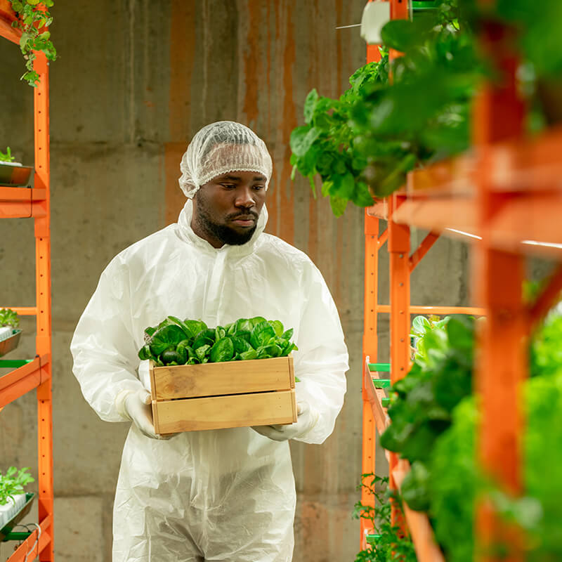 Everything You Need To Know About Vertical Farms 1