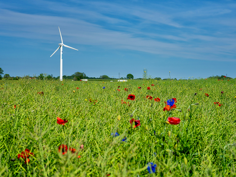 Top 5 Agritech Trends You Need to Know 1