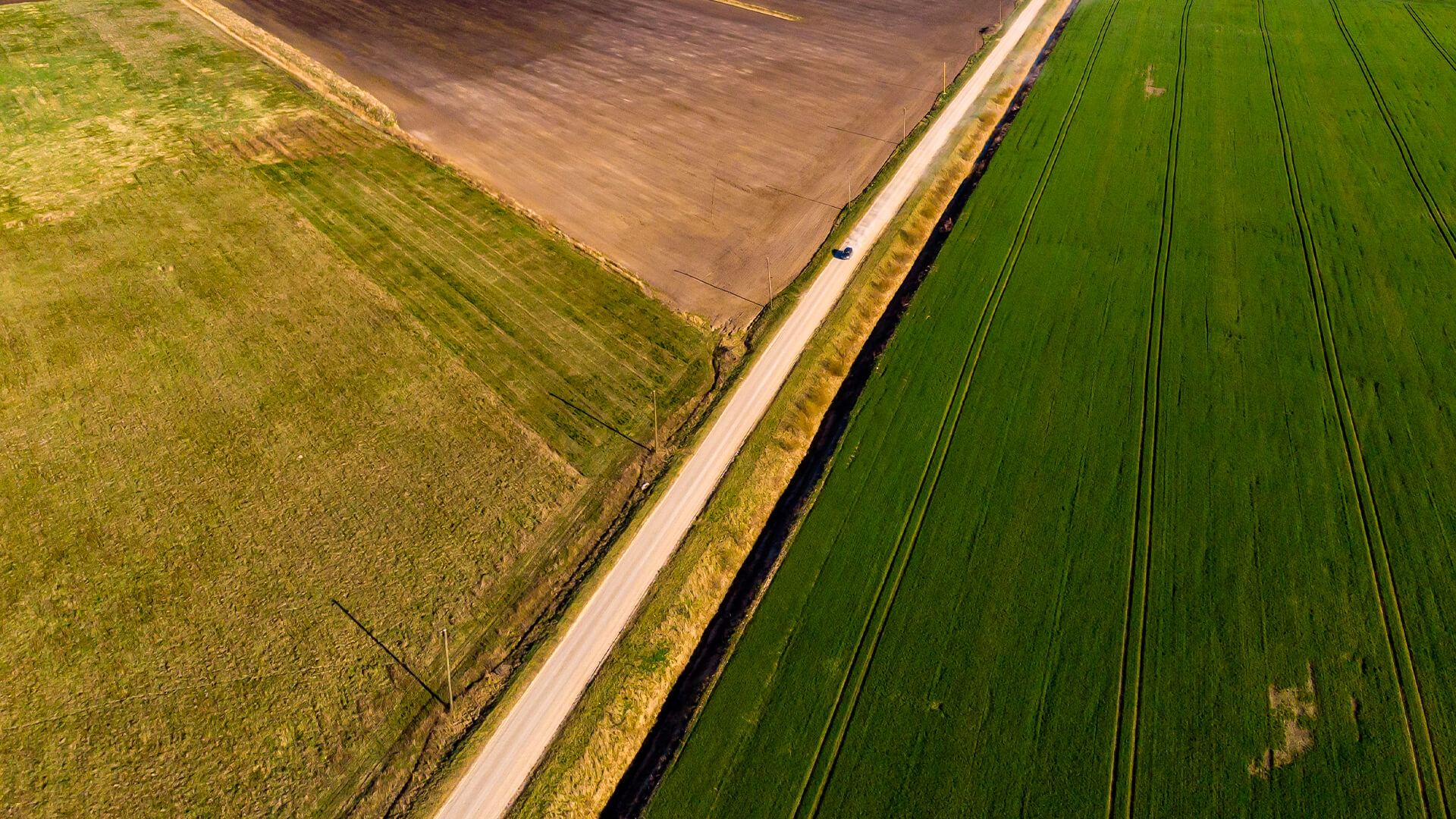 The interrelation between agriculture and climate change