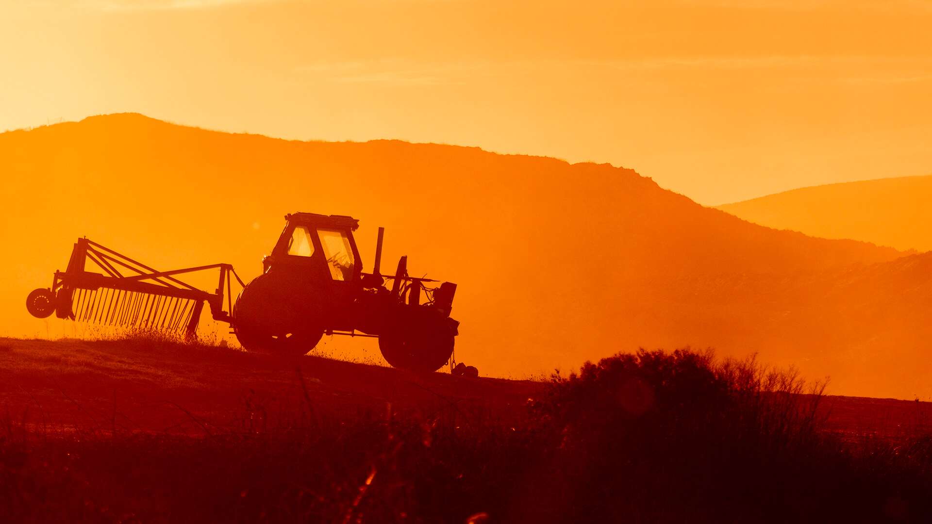 How can smart farming increase your yield?