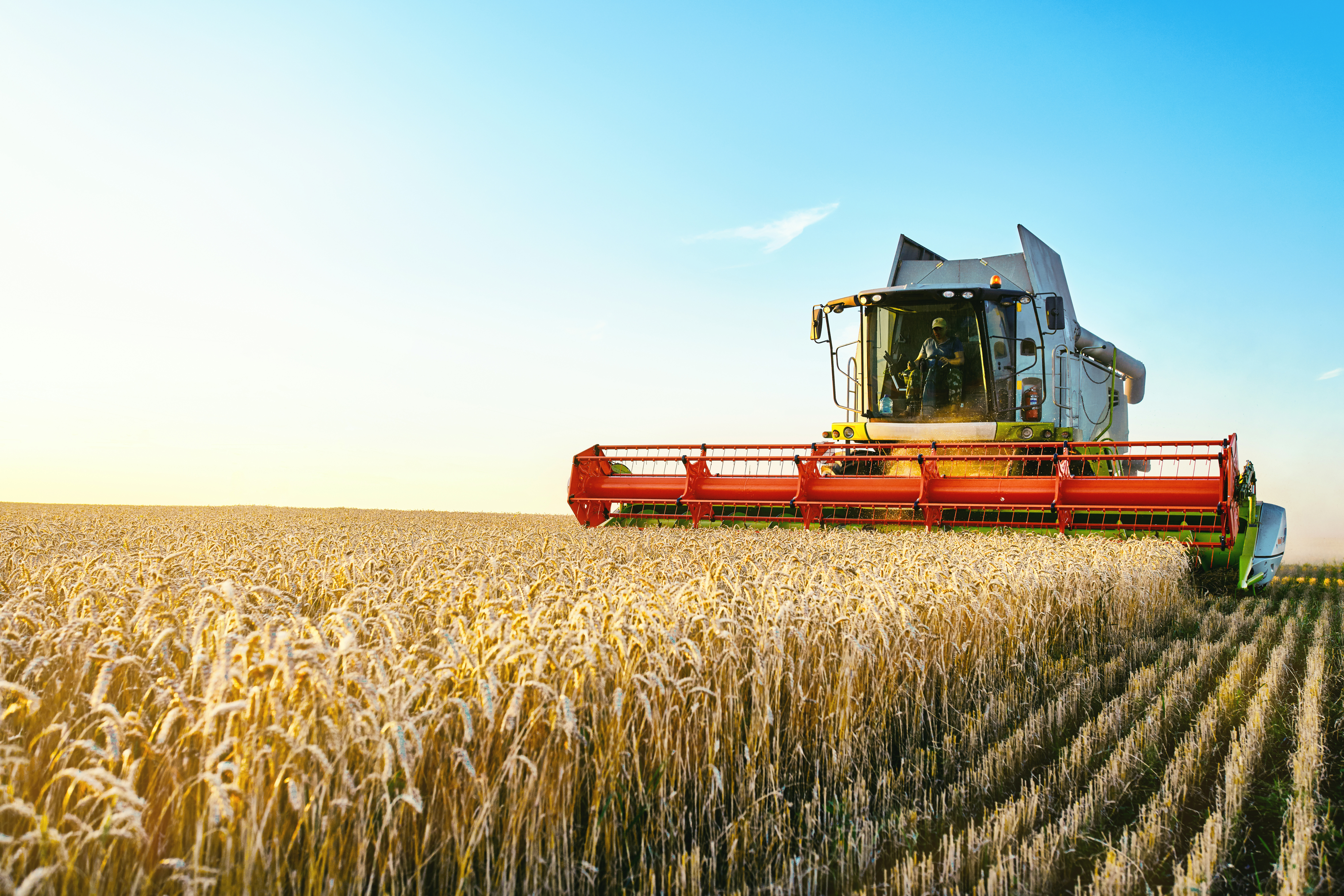 AI in Agriculture and Agri-Mechanics: An Unstoppable Revolution 1